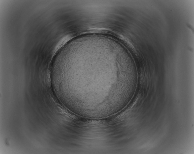 X0000098121362200804251442