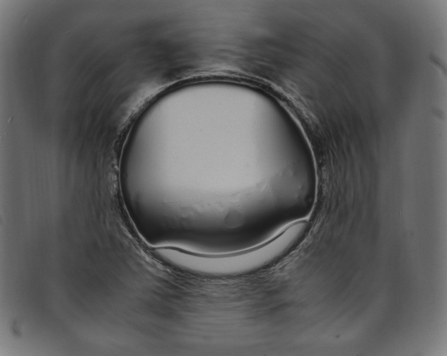 X0000098121363200804251442
