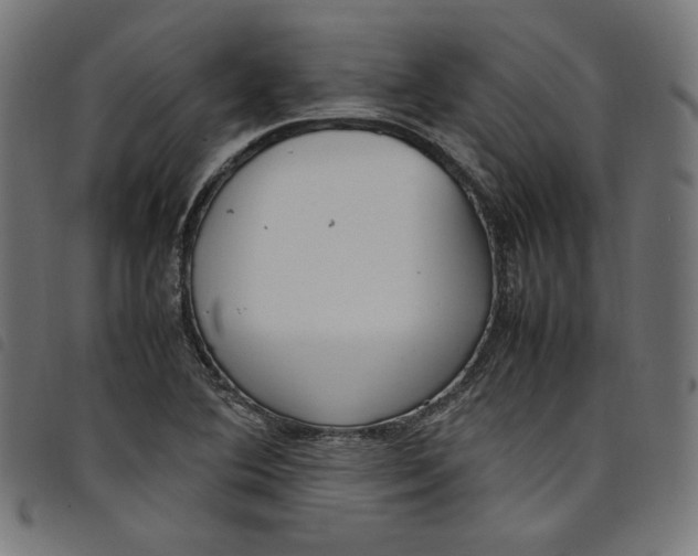 X0000098121364200804251442