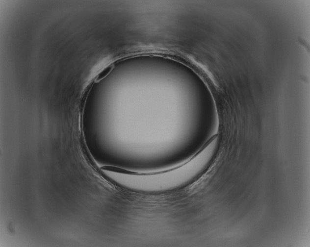 X0000098121365200804251442