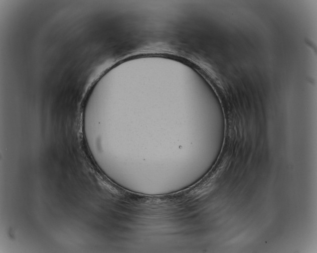X0000098121366200804251442