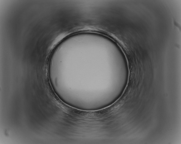 X0000098121367200804251442