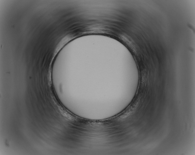 X0000098121370200804251442