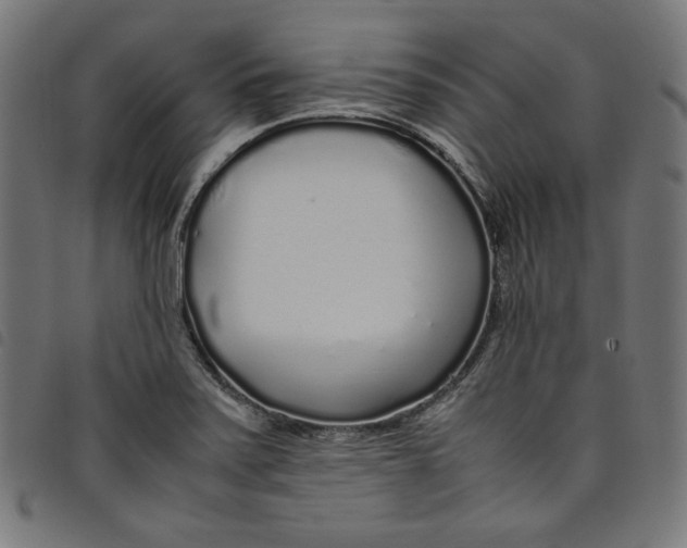 X0000098121371200804251442