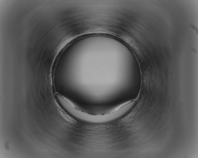 X0000098121372200804251442