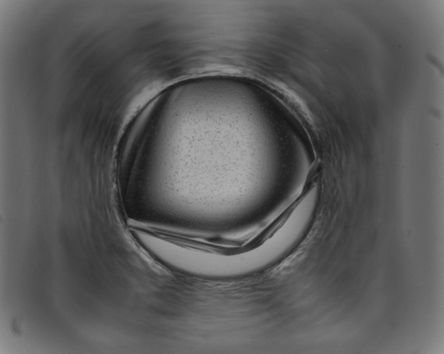 X0000098121373200804251442