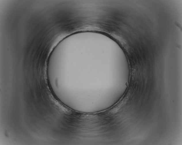 X0000098121374200804251442