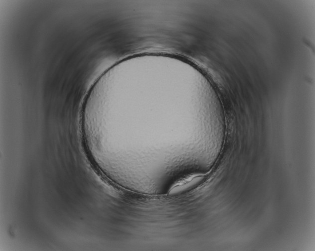 X0000098121375200804251441