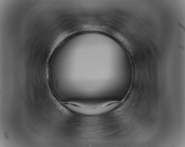X0000098121376200804251441