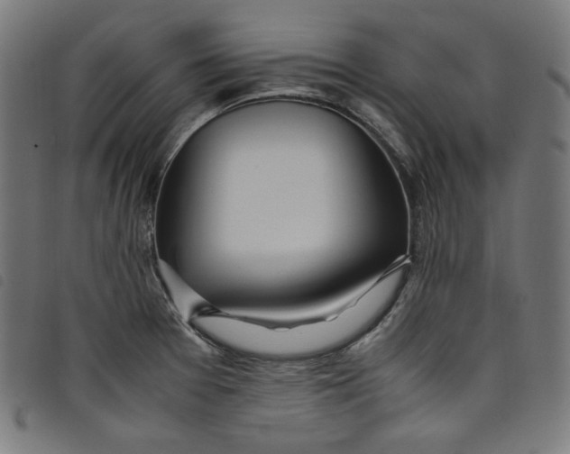 X0000098121377200804251441