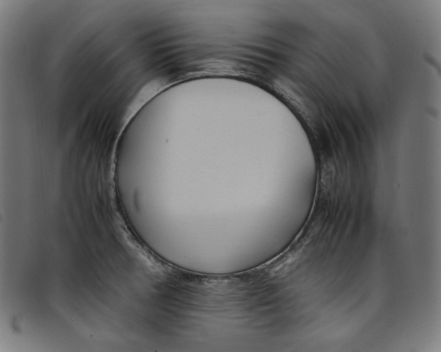 X0000098121378200804251441