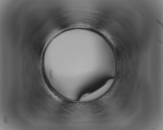 X0000098121379200804251441