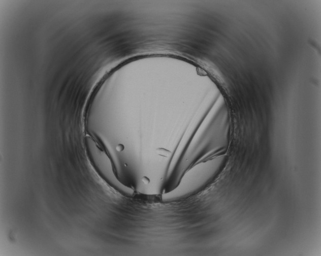 X0000098121380200804251441