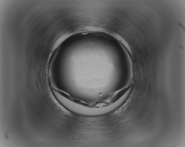 X0000098121381200804251441