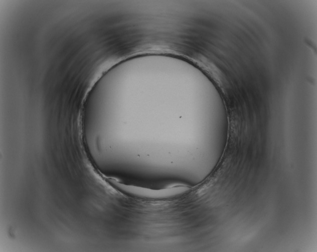 X0000098121382200804251441