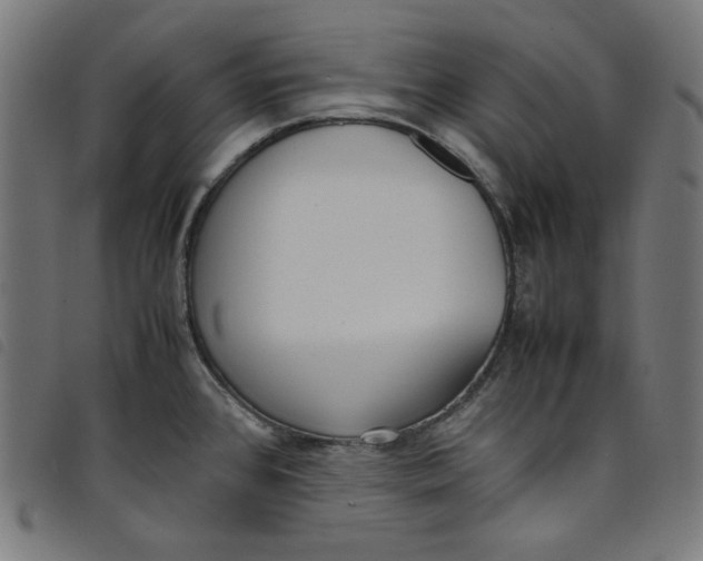 X0000098121384200804251441
