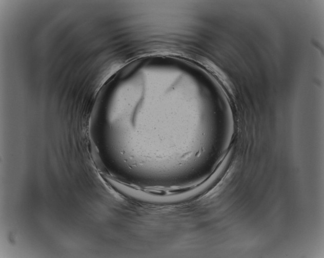X0000098121385200804251441