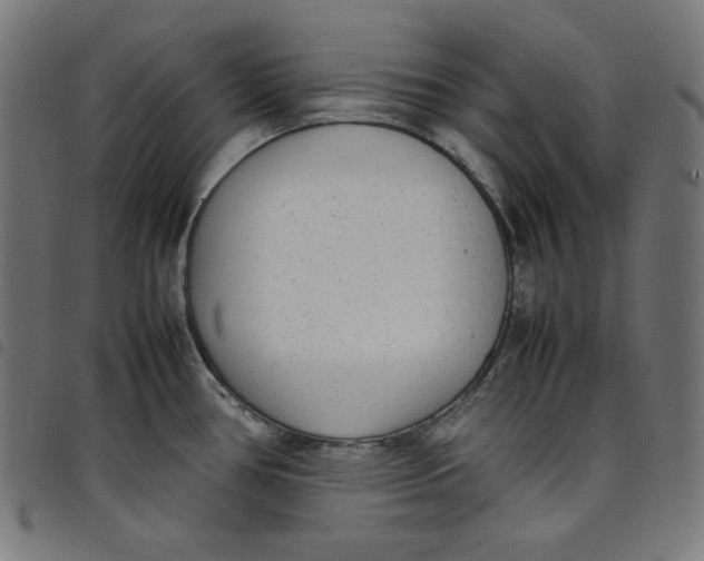 X0000098121386200804251441