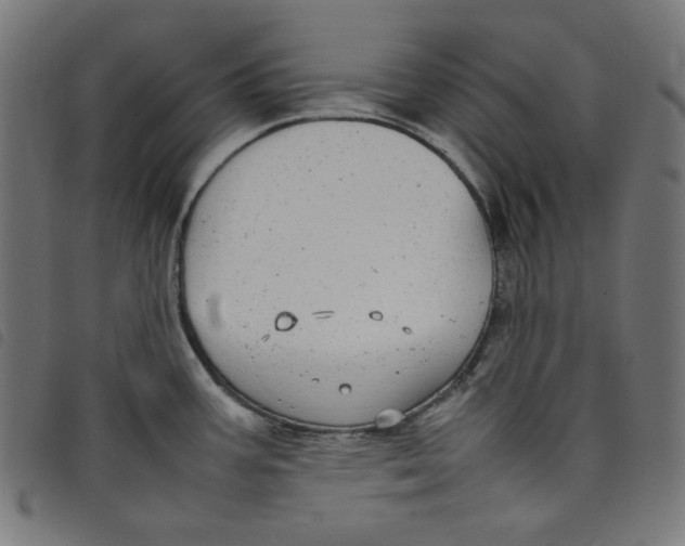 X0000098121387200804251441