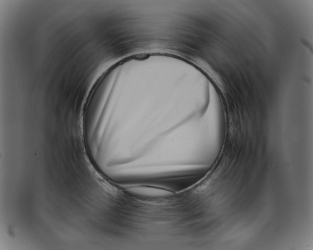 X0000098121388200804251441