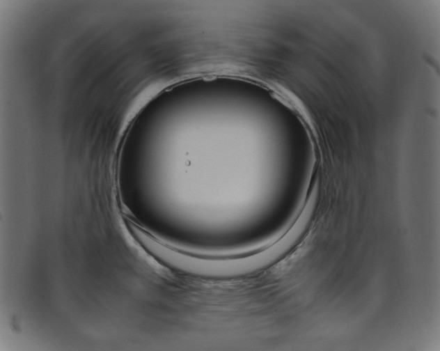 X0000098121389200804251441
