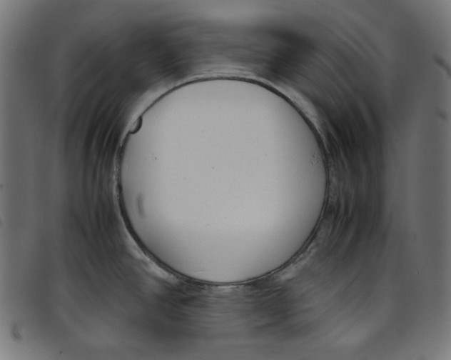 X0000098121390200804251441