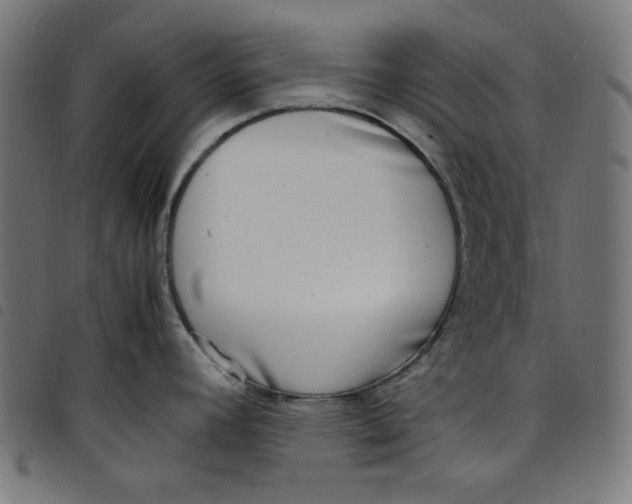 X0000098121392200804251441