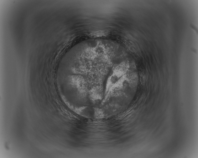 X0000098121393200804251440