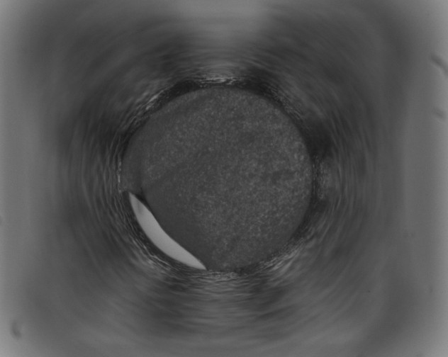X0000098121394200804251440