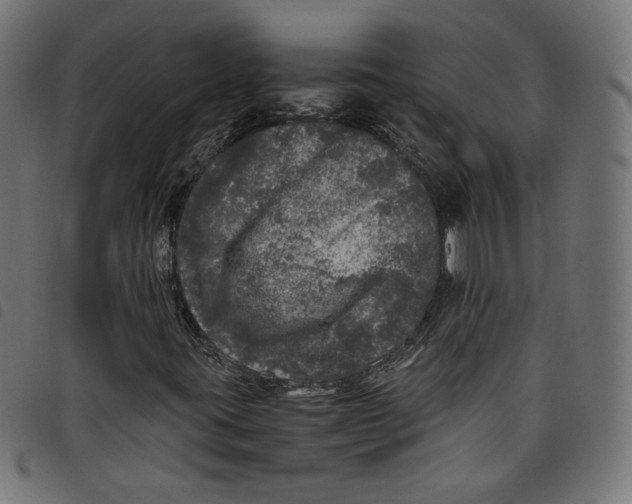 X0000098121395200804251440