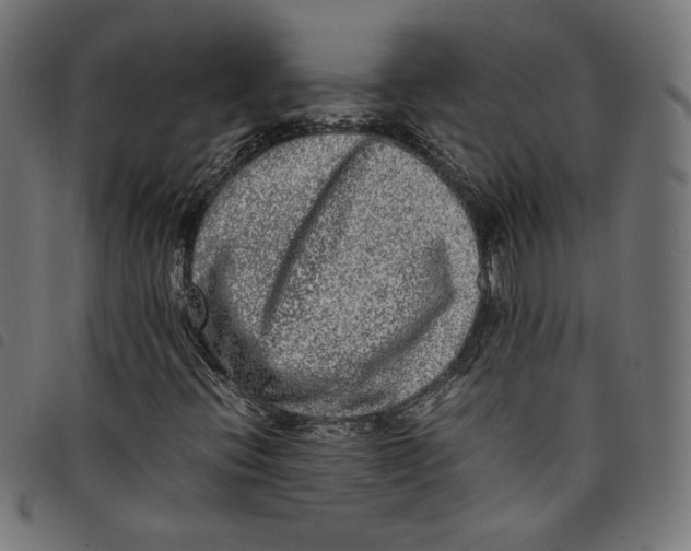 X0000098121396200804251440