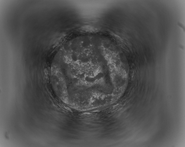 X0000098121397200804251440