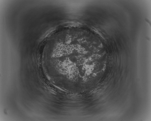 X0000098121399200804251441