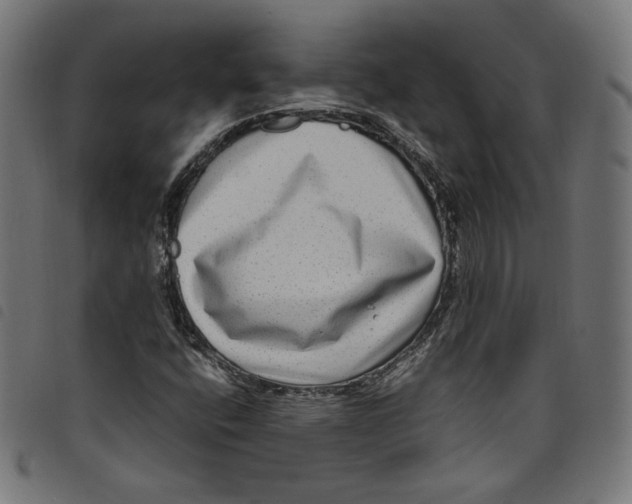X0000098121400200804251441