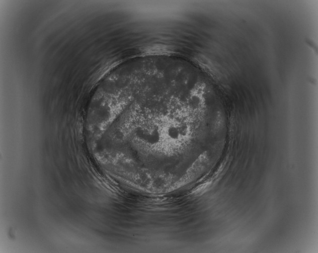 X0000098121401200804251441