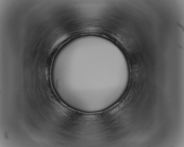 X0000098121402200804251441