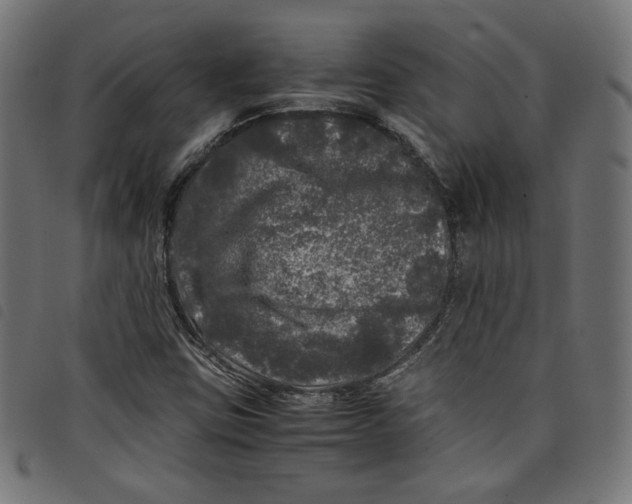 X0000098121403200804251441