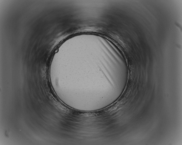 X0000098121404200804251441