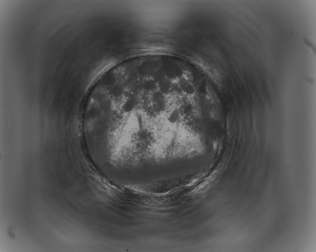 X0000098121405200804251441