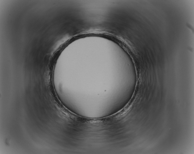 X0000098121406200804251441