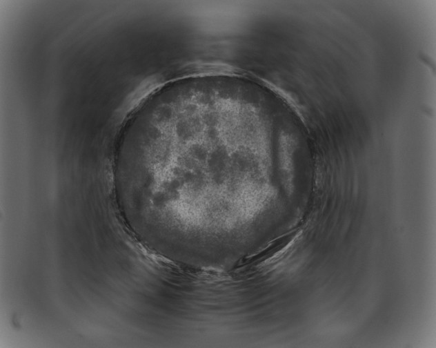 X0000098121407200804251441