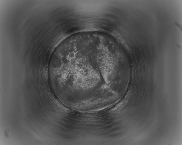 X0000098121409200804251441