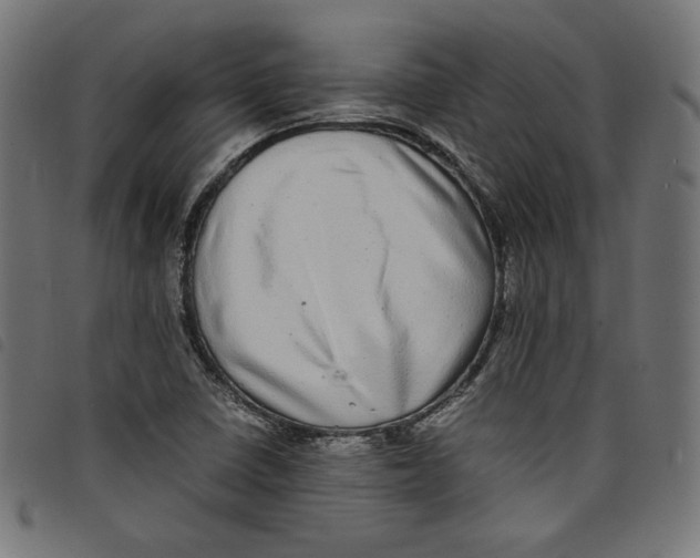 X0000098121410200804251441