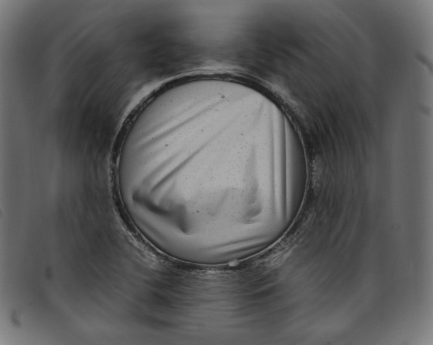 X0000098121412200804251441
