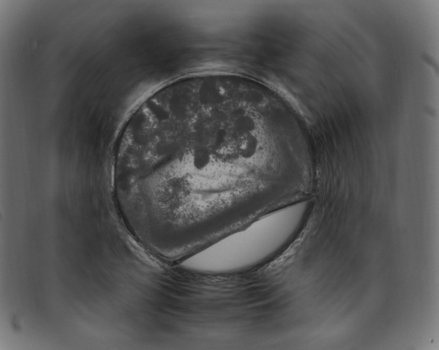 X0000098121413200804251441