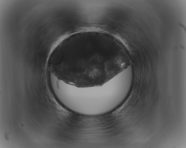 X0000098121414200804251441