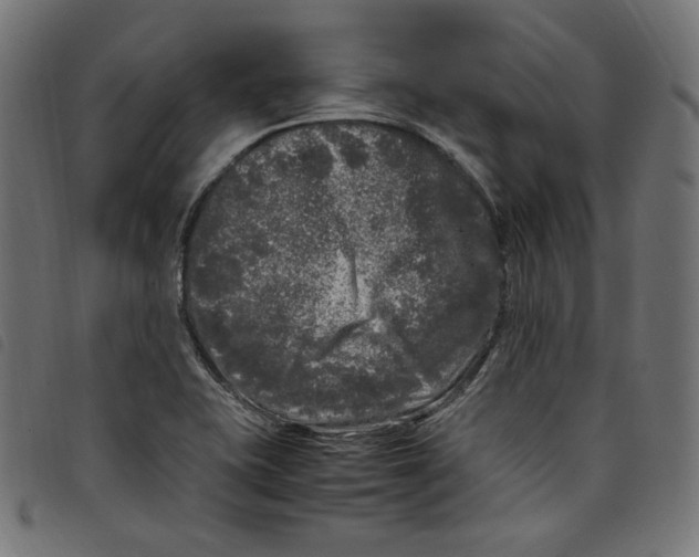 X0000098121415200804251441