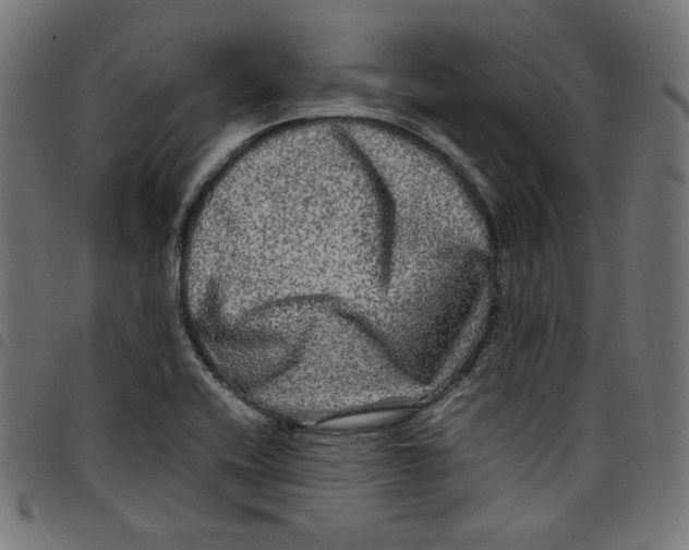 X0000098121416200804251441