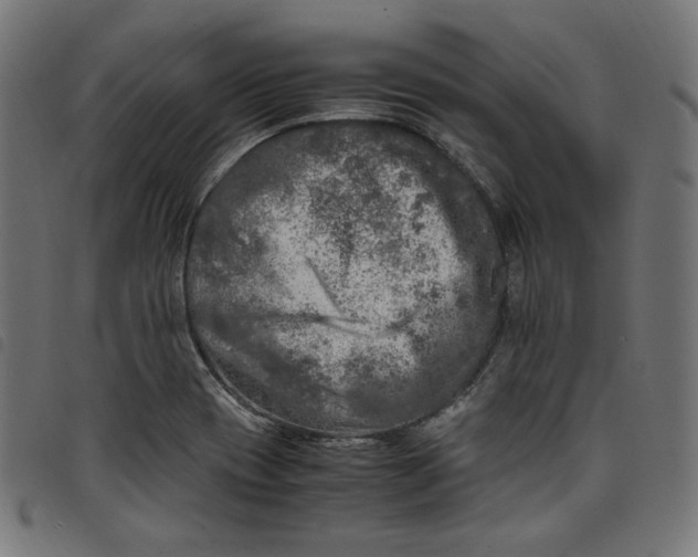X0000098121417200804251441