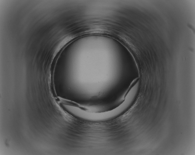 X0000098121418200804251441